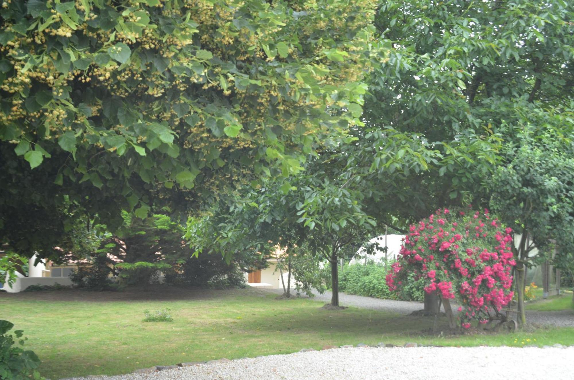 Chambres D'Hotes La Forterie Vairé Esterno foto